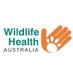 Wildlife Health Australia (@healthywildlife) Twitter profile photo