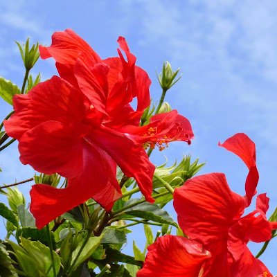 この名前、生き別れた弟から貰いました。
最近ツィートするたびに、誤字脱字が目立ちますが、そこは皆様の優しい心でお許し頂きたいと思います。🙏☺️
Winnie-the-pooh
#千万別忘了天安門
#我支持香港独立