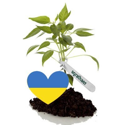 agrathaer's profile picture. 