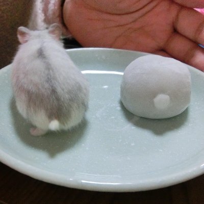 tomokazu_0101's profile picture. しがない組み込みエンジニア
ROかなりやってないので、変えました
物をいじくるのは大好きなおっさん