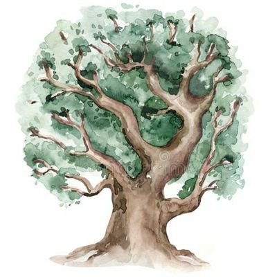 Rs4grinardo's profile picture. 