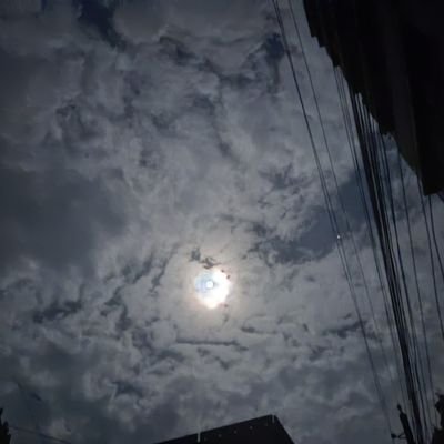 Ashrafu91049268's profile picture. bull from Bangladesh and Finland.  one call solution all 😎