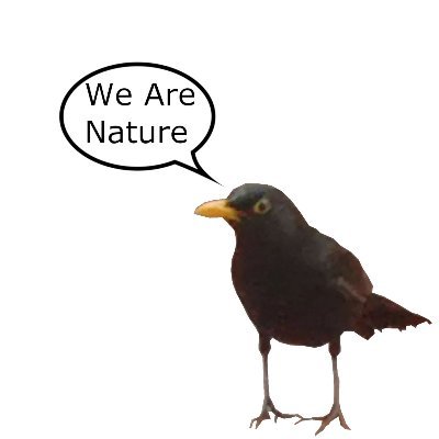We are not fighting for nature, WE ARE NATURE defending itself 🌎🌻🦋🌱🐝
(Artistic moment in Lisbon during March 2022, Inspired by #ClimateGames during #COP21)