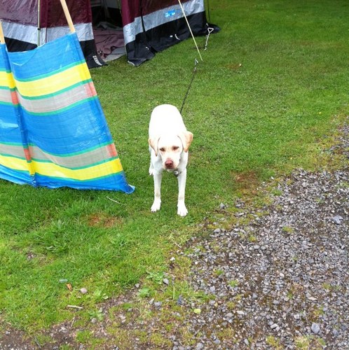 anthonymclean2's profile picture. 