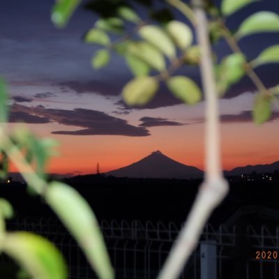 🟢🟢副業紹介🟢🟢為になる情報を提供します 💰稼ぐための第一歩を踏み出せていない方へ♡まずは行動しよう〜😚✨フォローお待ちしてます✨