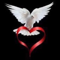 GivePeaceAChance(@SurrettLinda) 's Twitter Profile Photo