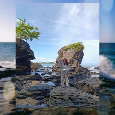 rosaanintania's profile picture. 