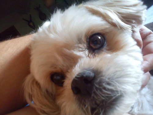 ivansjg's profile picture. 