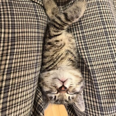 介護職員たかし🌈が独立を目指すブログで、投資や子育てや節約について、情報を発信しています🏠😀 猫を二匹、娘が二人、奥さん一人います🏠♥猫好きな方や、子育て、投資、ブログなど、共通な所がある方はぜひ仲良くして下さい👍😁よろしくお願いします😺😺