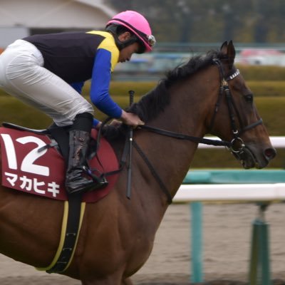 Statistic_for_V's profile picture. 2022年から競馬予想はじめてみます。
