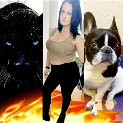 #blockpersonal👩💻💄#bulldogfrances🐶❤🆇🅴🅽🅰
#fitness🏋️♀️ #fitboxing🥊#mujerguerrera