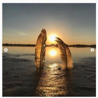 Ange Andrews (@andrews_ange) 's Twitter Profile
