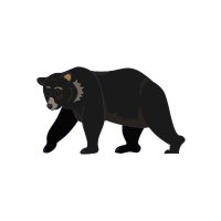 TeamBear (@teambear22) Twitter profile photo