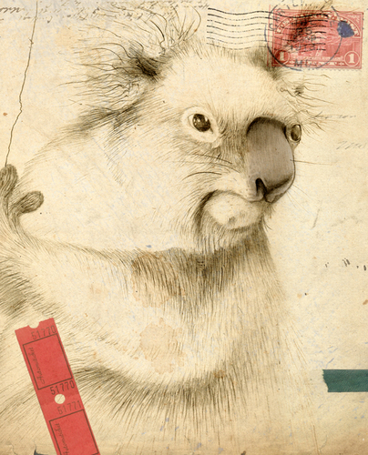 samaraandrews's profile picture. Illustrator living in Bedfordshire with hubby-fellow illustrator/designer @chrisnandrews. Loves to combine old, textured papers with detailed pencil drawings.