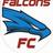 FC_Falcons's profile image