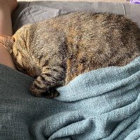 Jay Porter (@insidius) 's Twitter Profile