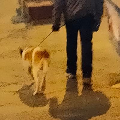 __GOST_3_5's profile picture. #StandWithUkraine