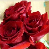 Ahmed Zen (@ahmedzen22) 's Twitter Profile