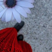 𝚂𝙾𝙷𝙰𝙳🇵🇸 𓂆. (@sohad_adel) 's Twitter Profile