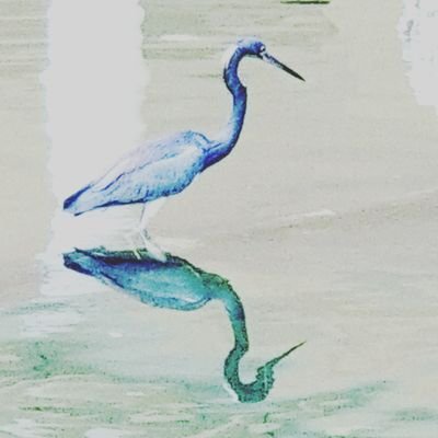 Heron Azulさんのプロフィール画像