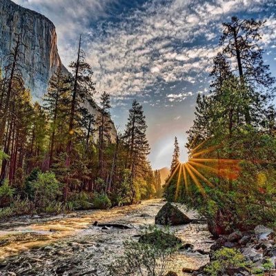 Wwen09's profile picture. 🌎🎋🧠🦉🌳🍜