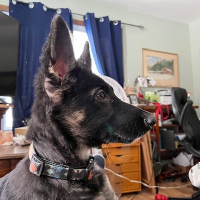 Stand for something, or fall for anything. Things that matter, God, sobriety, family, German Shepherds and real people who are honest with themselves.
