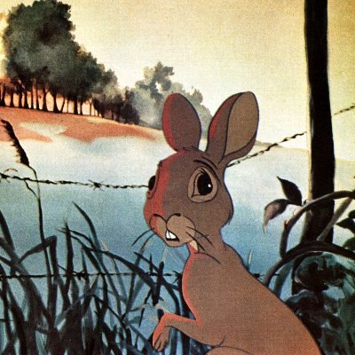 FiverOneOne's profile picture. 
