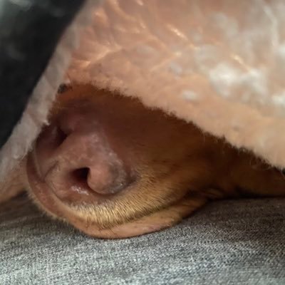 Denise28172101's profile picture. 