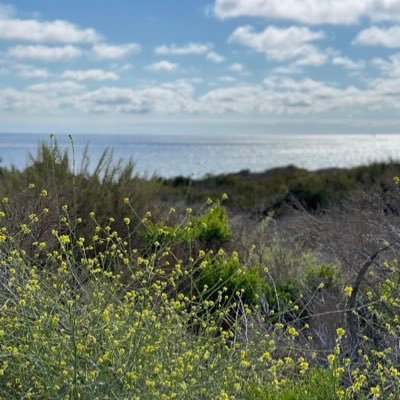 jteezer16's profile picture. “Don’t pee on my leg and tell me it’s raining” - Judge Judy