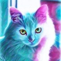GATA PATTY 🐾 ↙️ (@gata1940) 's Twitter Profile Photo GATA PATTY 🐾 ↙️ (@gata1940) 's Twitter Profile Photo