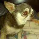 John Beck - @JTBECK26 - Twitter