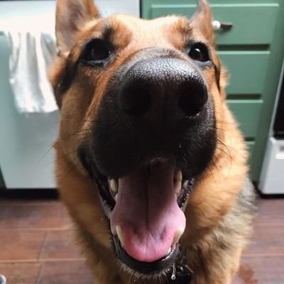 KJMay49's profile picture. 