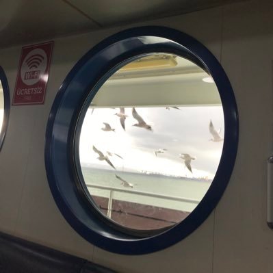 Neeanl1's profile picture. İ. Ü. Hukuk Fakültesi 1983-1987