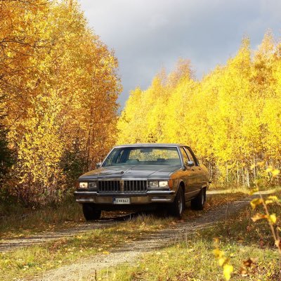 AmosOluoch3's profile picture. swe