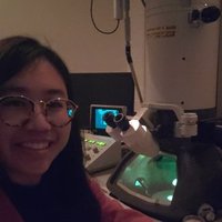 Melinda Fang (@pathofishiology) 's Twitter Profile Photo Melinda Fang (@pathofishiology) 's Twitter Profile Photo