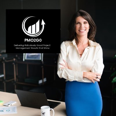 PMO2GO - Delivery ridiculous good project management results that shine in complex environments. Delivered with excellence, received with confidence.