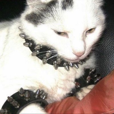 seriniiii's profile picture. Artist, She/Her, Fashion and Film enthusiast, Fluent in 🇬🇧,🇬🇷,🇷🇺 (completely inactive)