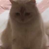 s (@mauutidurr) 's Twitter Profile