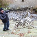 Kenneth Sugden - @KennethSugden - Twitter