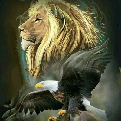 Thesameerali9's profile picture. 🤴🏻 king Is Always King🤴🏻