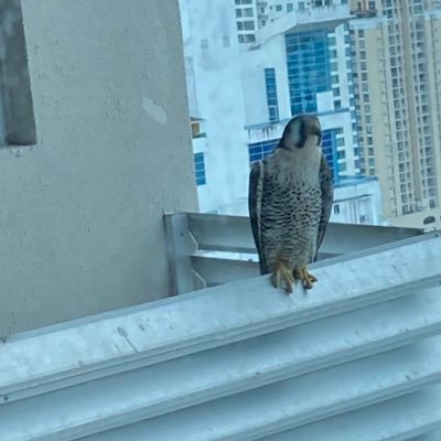 FinanzasAlex's profile picture. 