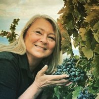 Ülkü Özkan (@lkzkn) 's Twitter Profile Photo