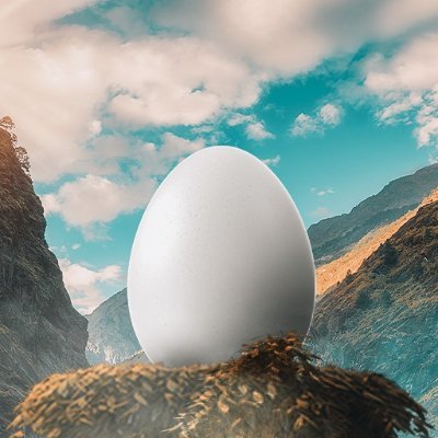 HatchlingzNFT Profile Picture