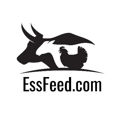 essfeed1 Profile Picture