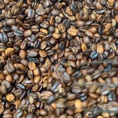 WindyHillCC's profile picture. Home roasted coffee and skincare products. owner @rayinrealife