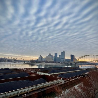 WhatIsG79350835's profile picture. 