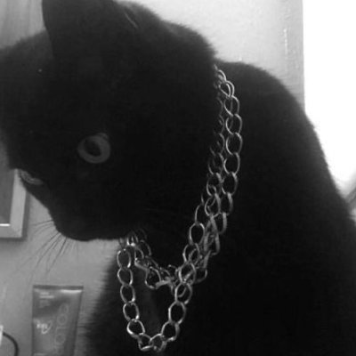 Nitrozys's profile picture. 