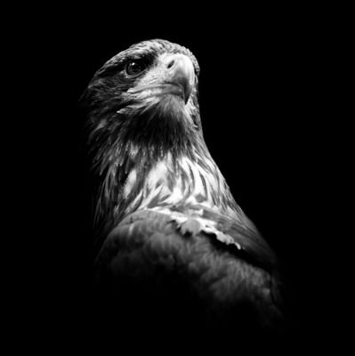 Dujooo2's profile picture. 