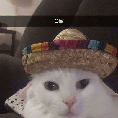 tiiBz's profile picture. trongole aguerri