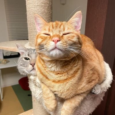 Adriano20369299's profile picture. Sou uma pessoa feliz de bem com a vida